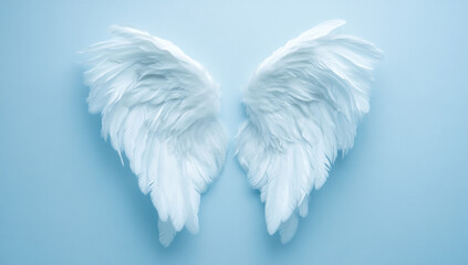 Delicate Angel Wings in Pastel Blue Background