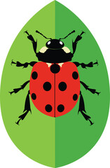Ladybug vector. Ladybug on white background. wallpaper. symbol..eps