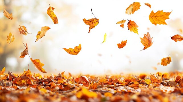 Golden autumn leaves gently falling and covering the ground, creating a serene autumnal scene