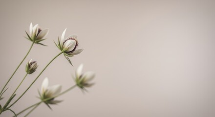 Elegant floral arrangement with soft lighting and minimalist aesthetic