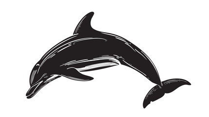 Fototapeta premium hand drawn silhouette of dolphin , black silhouettes isolated on white background