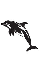 Naklejka premium hand drawn silhouette of dolphin , black silhouettes isolated on white background