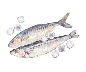 Two fresh mackerel fish with ice cubes top view Hand painted watercolor food illustration on white background Natural cool tones perfect for seafood packaging kitchen prints or fish market design