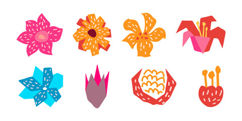 Colorful floral vector set with decorative flower illustrations