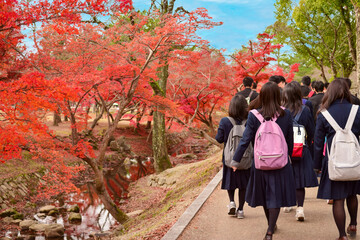 秋の旅行（京都）