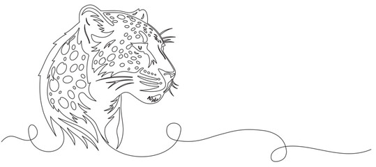 jaguar head art illustration on white background