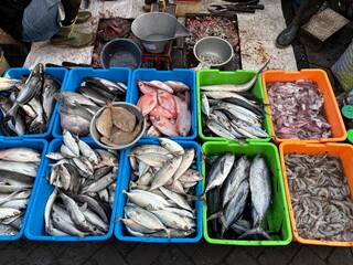 Fresh Seafood Variety at Traditional Market – Assorted Fish, Squid, and Shrimp Displayed in...
