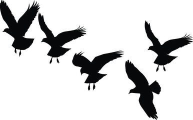 set of silhouettes of birds