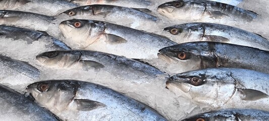 Fresh fish in the fresh market on ice. fish caught from fishing.