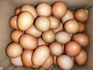 eggs in a box