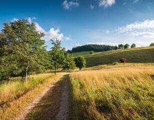 Fototapeta premium Rural landscape in late summer. Rural landscape with a path, trees and meadows on hills