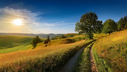 Obraz premium Rural landscape in late summer. Rural landscape with a path, trees and meadows on hills