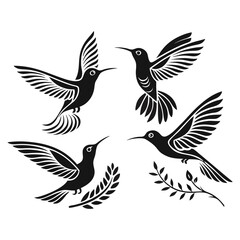 Fototapeta premium Set of Hummingbird Silhouettes
