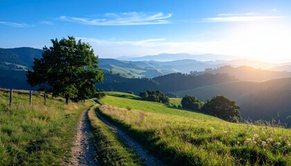 Rural landscape in late summer. Rural landscape with a path, trees and meadows on hills