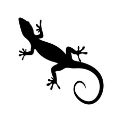 Obraz premium Anole silhouette vector flat illustration on white background.