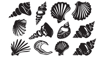  Hand drawn silhouette of sea shell , black silhouettes isolated on white background