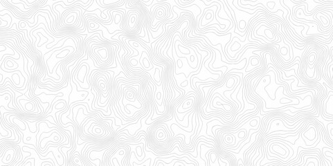 Seamless pattern with lines White wave paper curved reliefs abstract background, Abstract topographic contours map background. Abstract black and white topographic contours lines of mountains.	
