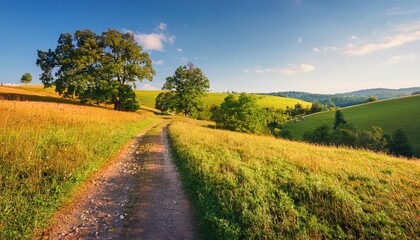Obraz premium Rural landscape in late summer. Rural landscape with a path, trees and meadows on hills