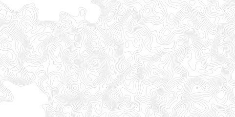 Obraz premium Seamless pattern with lines White wave paper curved reliefs abstract background, Abstract topographic contours map background. Abstract black and white topographic contours lines of mountains. 