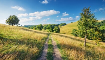 Rural landscape in late summer. Rural landscape with a path, trees and meadows on hills