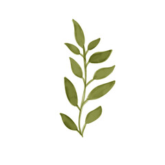 laurel wreath isolated on white