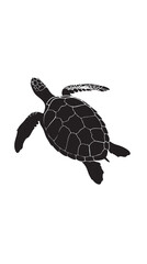 Fototapeta premium hand drawn silhouette of sea turtle , black silhouettes isolated on white background
