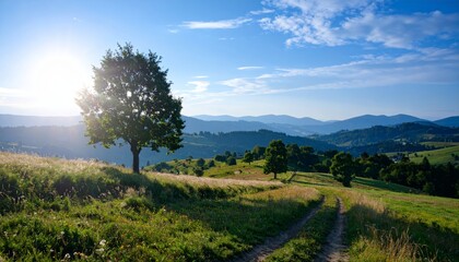 Obraz premium Rural landscape in late summer. Rural landscape with a path, trees and meadows on hills