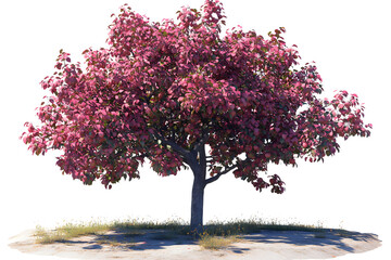 Obraz premium red apple tree isolated D illustration.