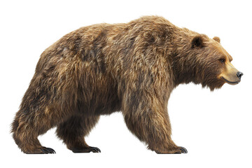 Obraz premium Brown bear isolated on a transparent background. 3D illustration