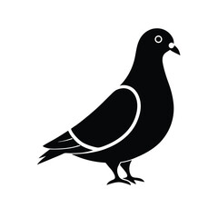 Hand-Drawn Pigeon Outline – Boho Style Bird Vector