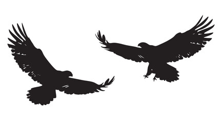 Obraz premium Hawks silhouette isolated in White background