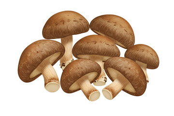 A group of shiitake mushrooms with textured brown caps and visible gills, showcasing their natural, earthy appearance, isolated on a transparent background for culinary or organic food visuals