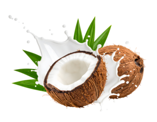 Coconut halves with milk splashes on a transparent background.