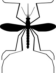 Black silhouette of mosquito