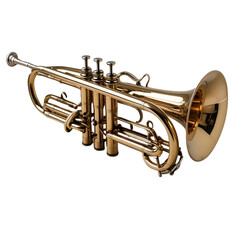 Naklejka premium trumpet isolated on white