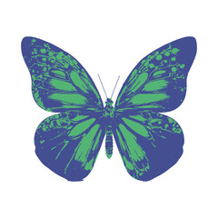 Butterfly vector. Butterfly vector for design. Colorful butterfly vector. Colorful Butterfly Vector Art for Designers.

