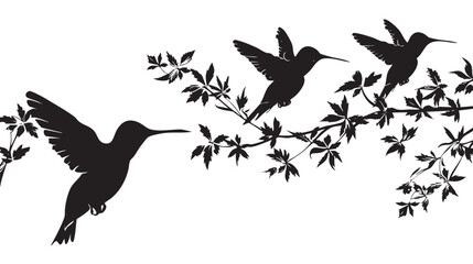 Fototapeta premium Hummingbirds silhouette isolated in White background