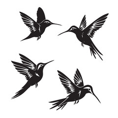 Fototapeta premium Hummingbirds silhouette isolated in White background