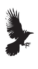 Fototapeta premium Isolated carrion crow in flight with fully open wings silhouette