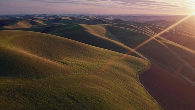 Golden sunlight bathing rolling agricultural hills of palouse, washington, highlighting verdant farmland with warm, luminous evening glow across expansive countryside