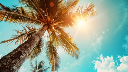 Solaris Palms - A Quantum Leap into Paradise