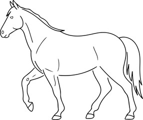 horse silhouette and line art vector design