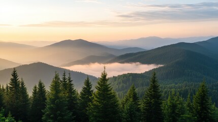 Fototapeta premium Serene Mountain Landscape at Sunrise with Soft Fog and Trees