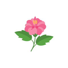 Hollyhock flower drawing vector artwork

