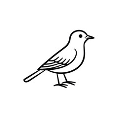 Obraz premium Minimal lark bird line art vector
