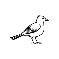 Lark bird outline drawing vector artwork

