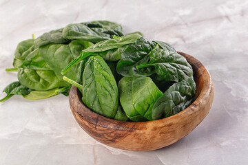 Raw green baby spinach plant