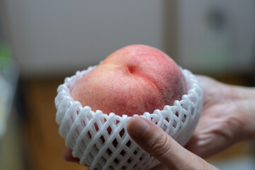 桃を持つ