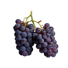 Fototapeta premium Purple grapes bunch isolated on transparent background