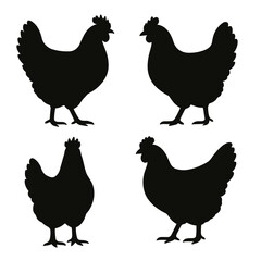 siluesta de gallinas